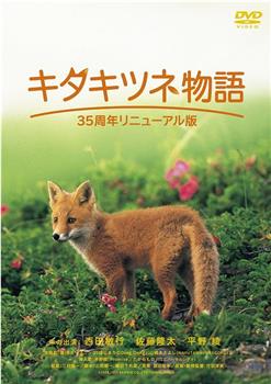 狐狸的故事在线观看和下载