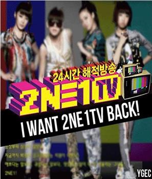 2NE1TV 第一季在线观看和下载