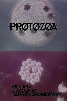 Protozoa在线观看和下载