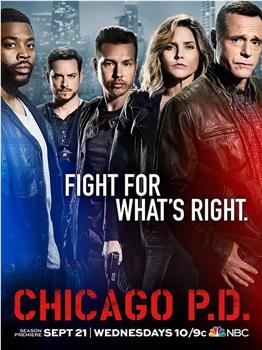 芝加哥警署 第四季在线观看和下载