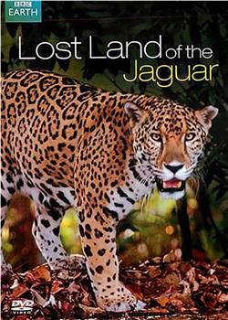美洲豹的失落之地在线观看和下载