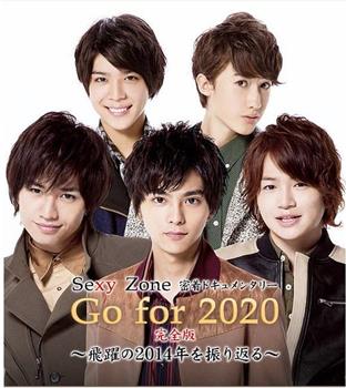 Sexy Zone 密着纪录片“Go for 2020” 完全版 ~回顾飞跃的2014年~在线观看和下载