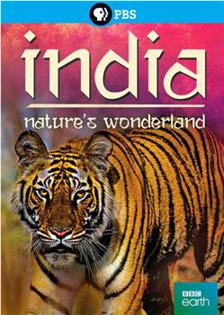 印度：大自然的仙境在线观看和下载