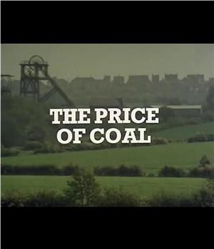 煤的价格：第一部分在线观看和下载