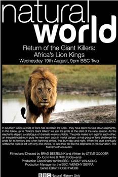 Return Of The Giant Killers - Africa's Lion Kings在线观看和下载