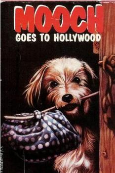 一条流浪狗带你游遍好莱坞在线观看和下载