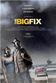 The Big Fix在线观看和下载