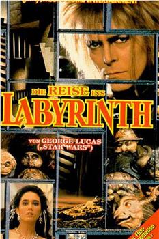 Inside the Labyrinth在线观看和下载