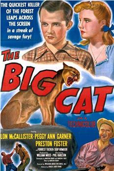The Big Cat在线观看和下载