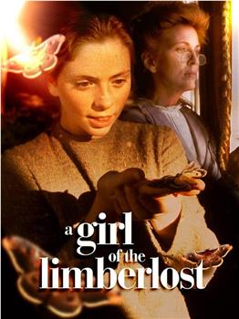 A Girl of the Limberlost在线观看和下载