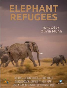 Elephant Refugees在线观看和下载