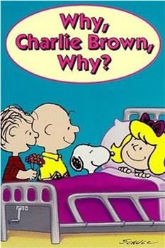 为什么，查理·布朗，为什么？在线观看和下载