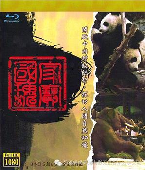 中国神秘纪行在线观看和下载