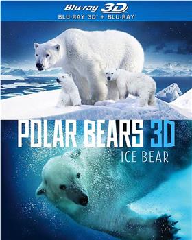 北极熊冰熊在线观看和下载