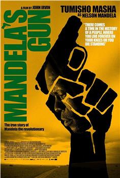 Mandela's Gun在线观看和下载