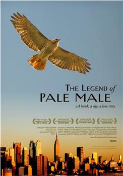 The Legend of Pale Male在线观看和下载