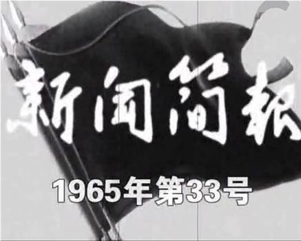 新闻简报1965年第33号在线观看和下载