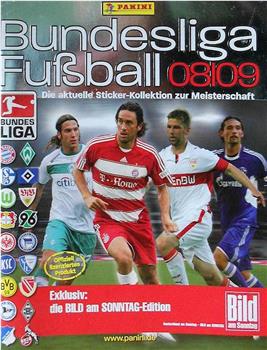 德甲联赛2008-2009赛季在线观看和下载
