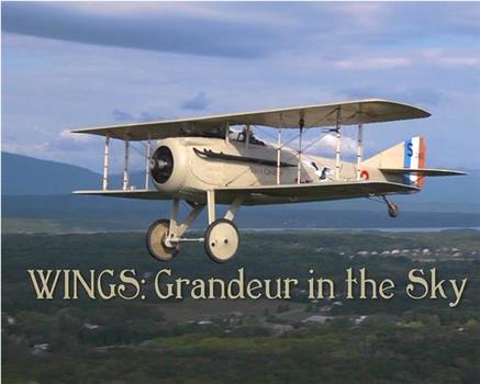 Wings: Grandeur in the Sky在线观看和下载
