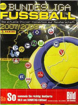2007-2008赛季 德国足球甲级联赛在线观看和下载