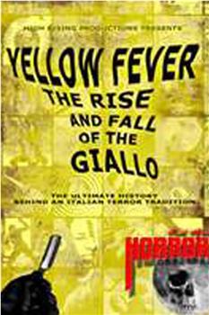 黄色狂热：铅黄电影的兴衰在线观看和下载