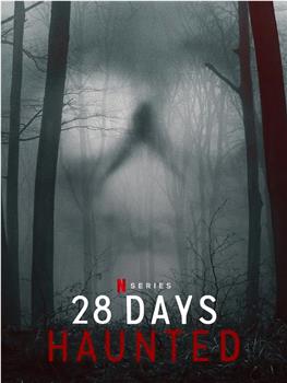 闹鬼实境28天在线观看和下载