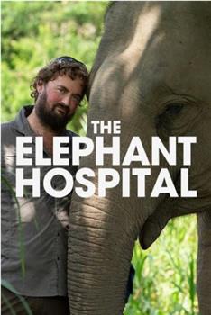 Elephant Hospital Season 1在线观看和下载