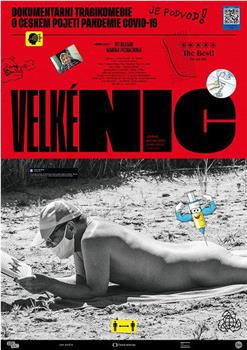 Velké nic在线观看和下载