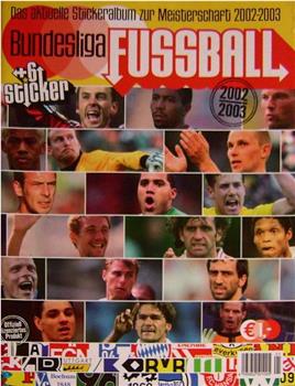 2002-2003赛季 德国足球甲级联赛在线观看和下载