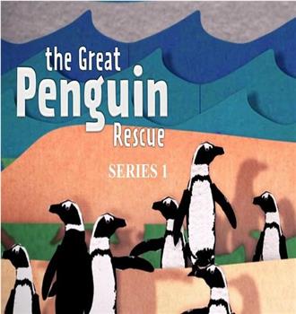 伟大的拯救企鹅行动 第一季在线观看和下载