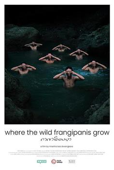 Where the Wild Frangipanis Grow在线观看和下载