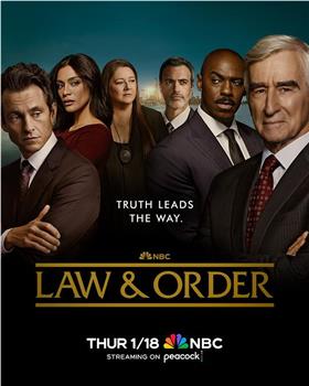 法律与秩序 第二十三季在线观看和下载