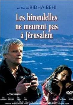 Les hirondelles ne meurent pas à Jerusalem在线观看和下载