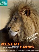 自然世界：沙漠狮ftp分享