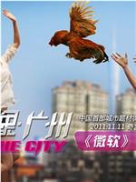 城市映像-广州篇《微软》
