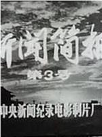 新闻简报1974年第3号