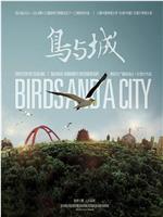 鸟与城