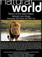 Return Of The Giant Killers - Africa's Lion Kings