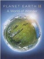 地球脉动2：奇迹世界