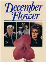 December Flower