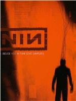 Nine Inch Nails ‎– Live: Beside You In Time
