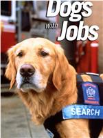 Dogs with Jobs