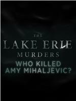伊利湖谋杀案 第一季