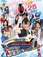 13年日剧 ネット版仮面ライダーウィザードインマジか ランド 高清在线观看 影视分享