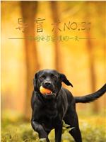 导盲犬No.31
