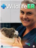 Wildlife ER Season 1