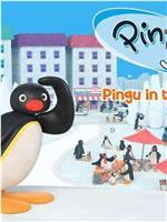 Pingu在都市