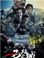 无玷之城