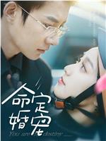 命定婚宠