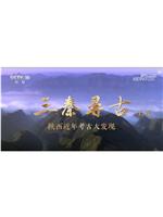 三秦寻古——陕西近年考古大发现